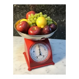 5 Kg Retro Nostalji Mutfak Tartısı Analog Terazi