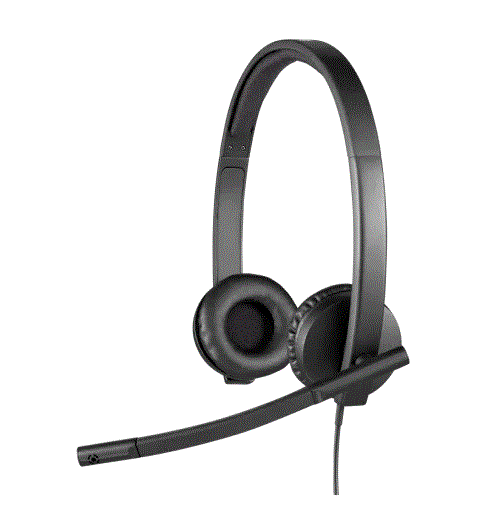 LOGITECH H570E Type-C Kurumsal Siyah Mikrofonlu Kulaklık 981-001431