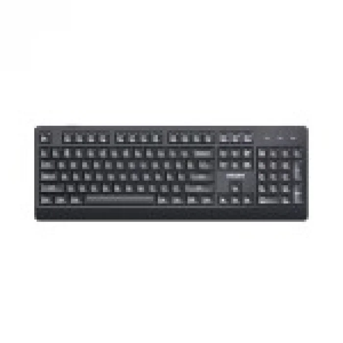 PHILIPS SPK6247B Q USB Siyah Klavye