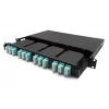 ALFAFONET 102005-BL.06 24 Port 19 Rack SC/DX Fiber Bos Patch Panel