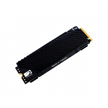 TWINMOS NV1TBG42280 M.2 1TB (7500/6800MB/s) PCIe + NVMe SSD Disk (Soğutuculu)