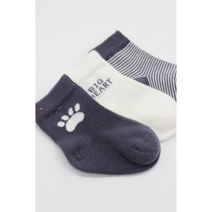 3lü Penye Soket Çorap Bs10110 Antrasit