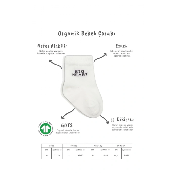 3lü Penye Soket Çorap Bs10110 Antrasit