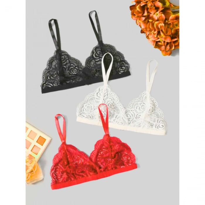 Haye Collection Büyük Beden Fantezi 3lü Seksi Dantel Sütyen Seti TG279257-B