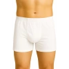 Beyaz  6810 Arjantin Erkek Boxer