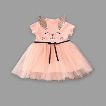1,2,3 Yaş Payetli Kulak Tavşan Baskılı Kız Bebek Elbisesi Pudra
