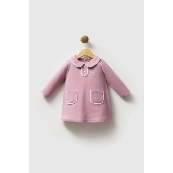 U.s. Polo Assn Elbise Usb2740 Gül Kurusu