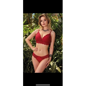 4305 Desteksi Sütyen Takımı