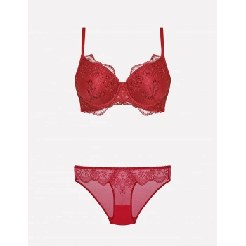 4385 Dantelli Sütyen Takımı