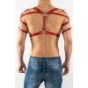 Erkek  Harness