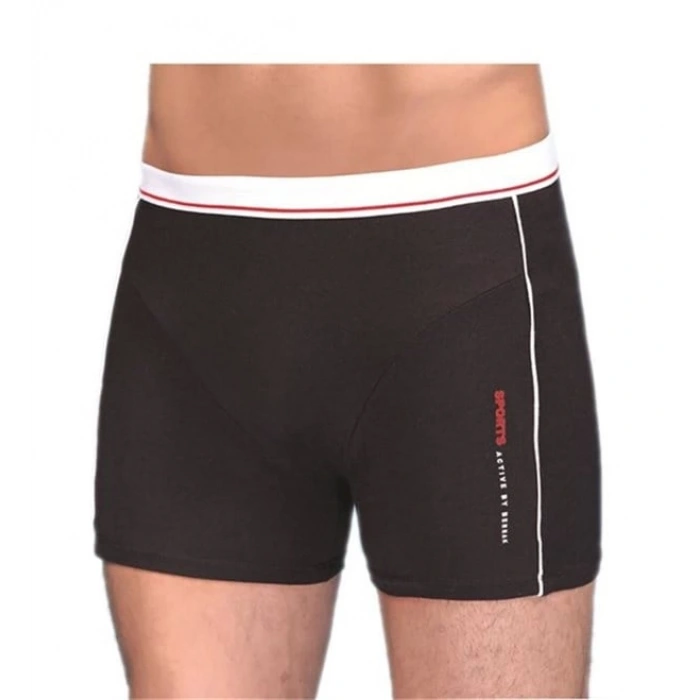 Berrak Erkek  Modal Silva Boxer 1078