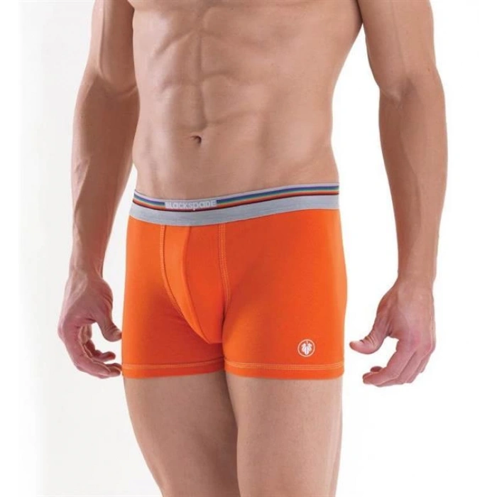 Blackpade Erkek  Colour Boxer 9550