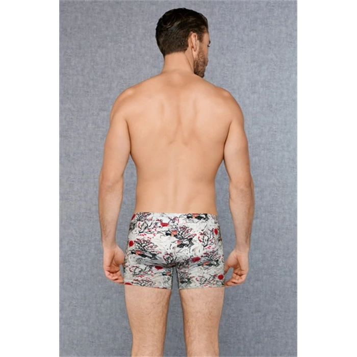 Doreanse Erkek  Modal Baskılı Boxer 1808