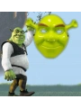 Yeşil Shrek Maskesi 21x25 Cm