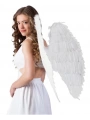 Beyaz Renkli Büyük Boy Melek Kanadı 55x80 Cm