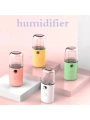 Şarjlı Mini Yüz Nemlendirici Dezenfektan Cihazı Mist Sprayer