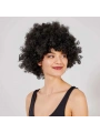 Siyah Renk Kıvırcık Afro Bonus Peruk