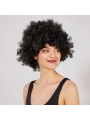 Siyah Renk Kıvırcık Afro Bonus Peruk
