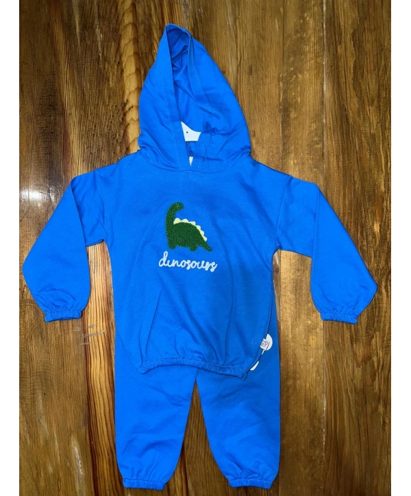 6-24 aylık araba baskılı takım gri