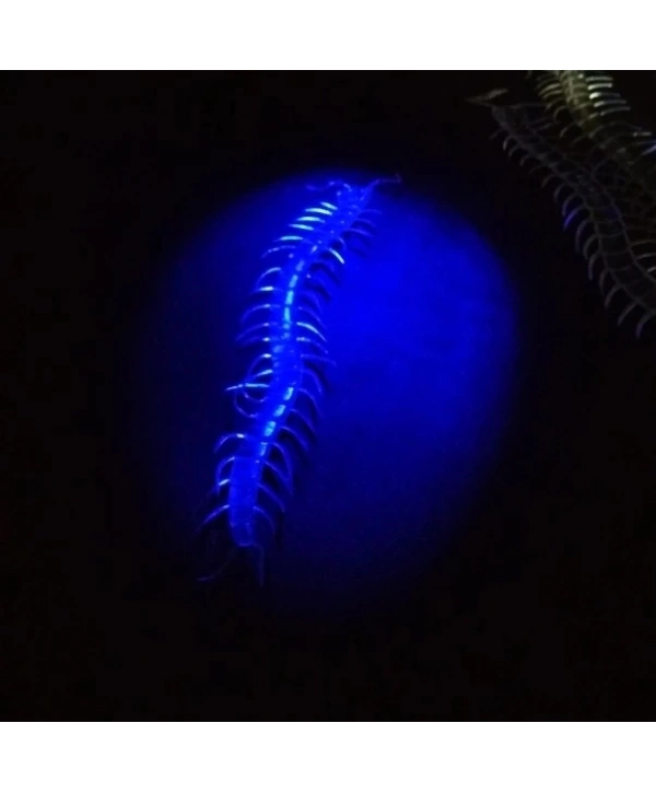 Şaka Yılan Ve Kırkayak Karışık 36 Adet