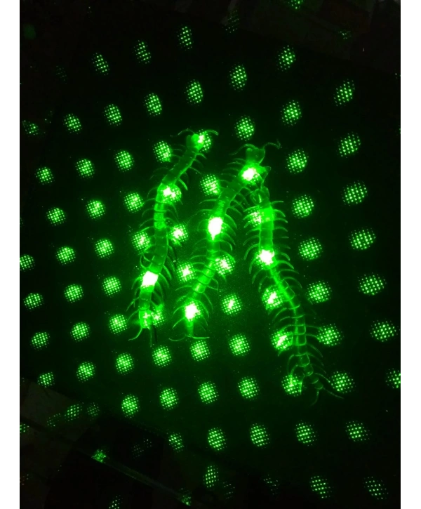 Şaka Yılan Ve Kırkayak Karışık 36 Adet