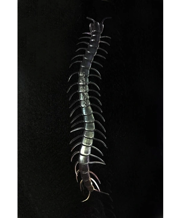 Şeffaf Renk Karanlıkta Parlayan Fosforlu Kırkayak 13 Cm 1 Adet