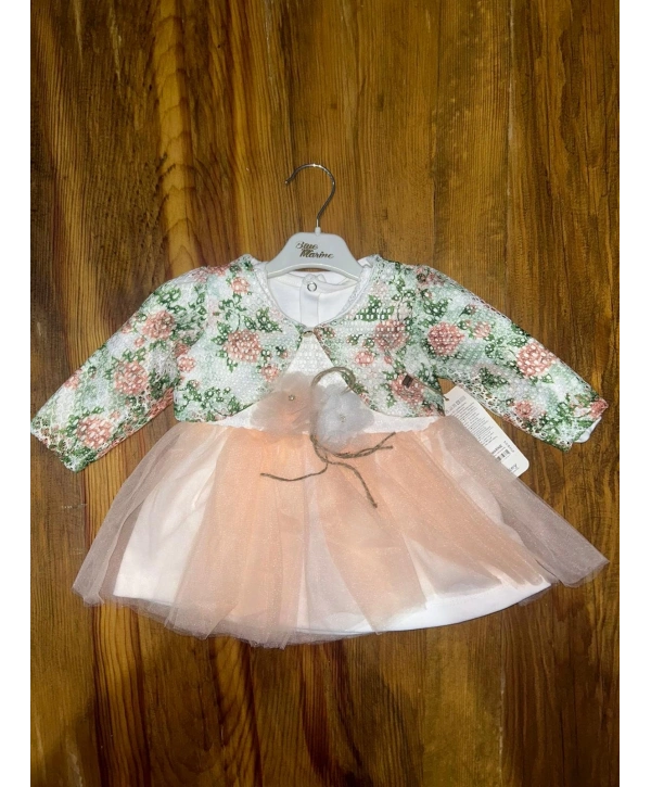 9-18 aylık prenses elbise pudra