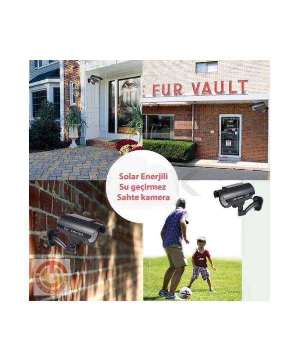 Avakado Kedi Nanesi Cat Mint Oyun Topu