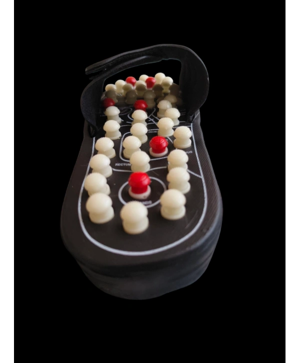 Ayak Masajı Akupunktur Terliği (38-39 Numara)