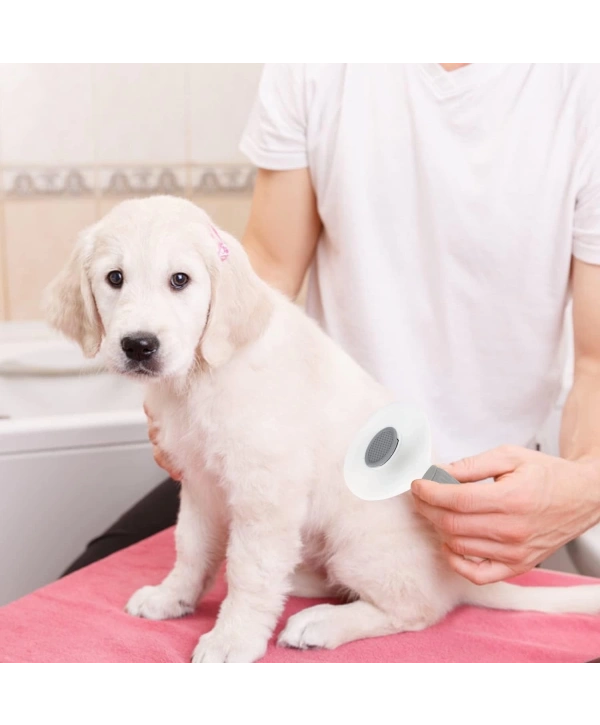 Kedi Köpek Tüy Toplayıcı  Pet Tarak 20 Cm