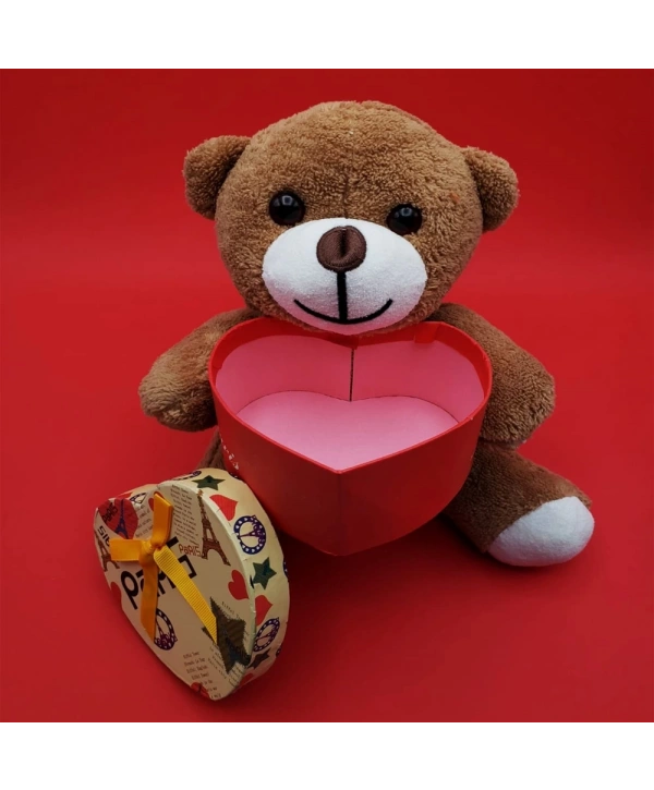 Kutulu Kahverengi Ayıcık