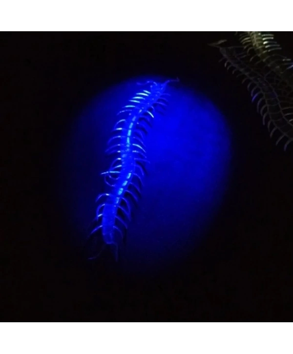 Şaka Yılan Ve Kırkayak Karışık 36 Adet