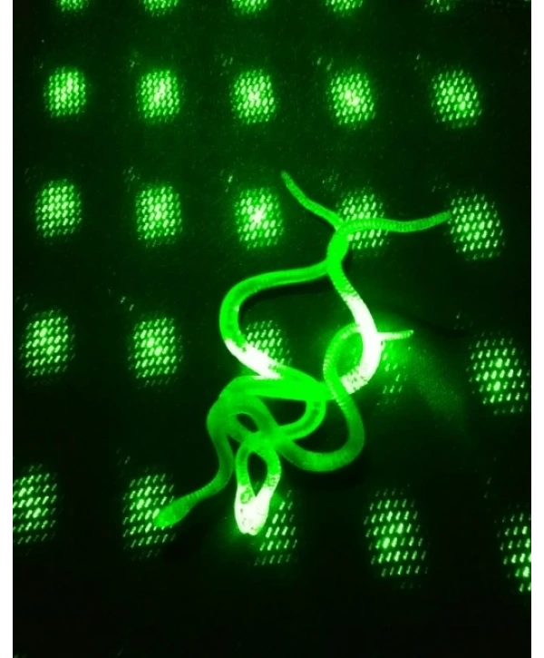 Şaka Yılan Ve Kırkayak Karışık 36 Adet