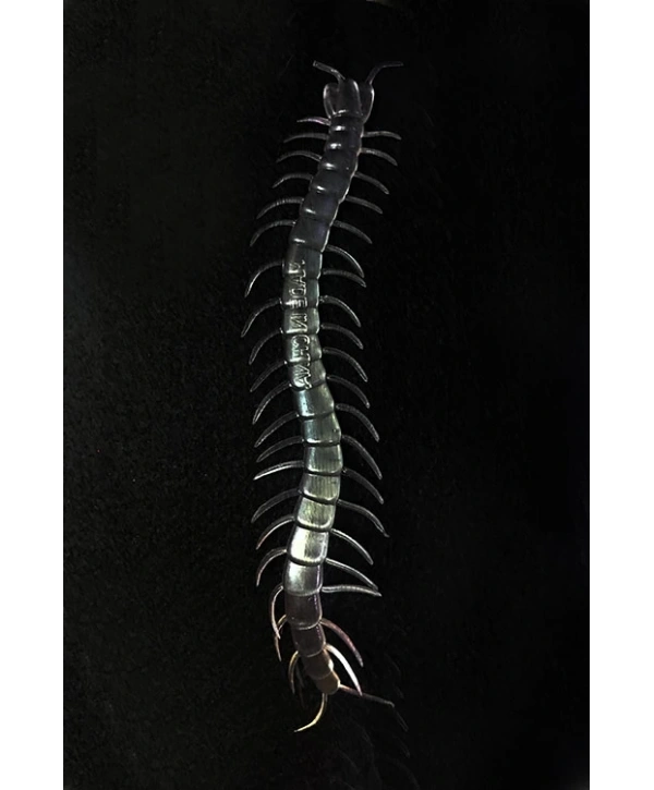 Şeffaf Renk Karanlıkta Parlayan Fosforlu Kırkayak 13 Cm 1 Adet