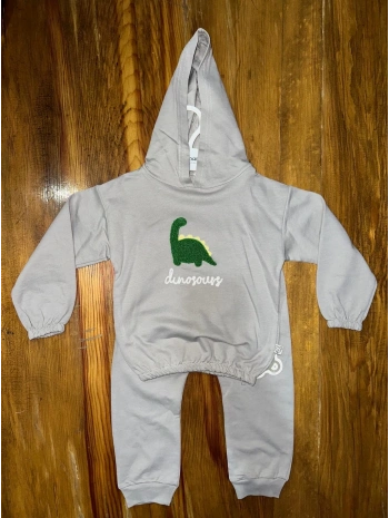 6-24 aylık araba baskılı takım gri