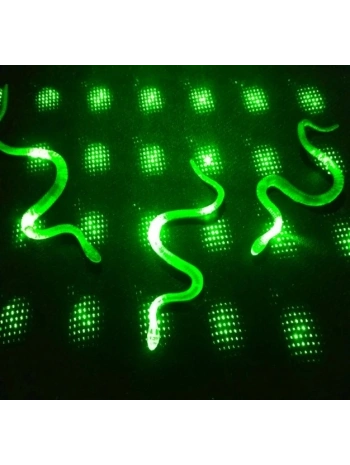 Şaka Yılan Ve Kırkayak Karışık 36 Adet