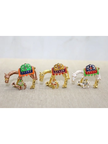 Swaroski Minik Deve Alk3865