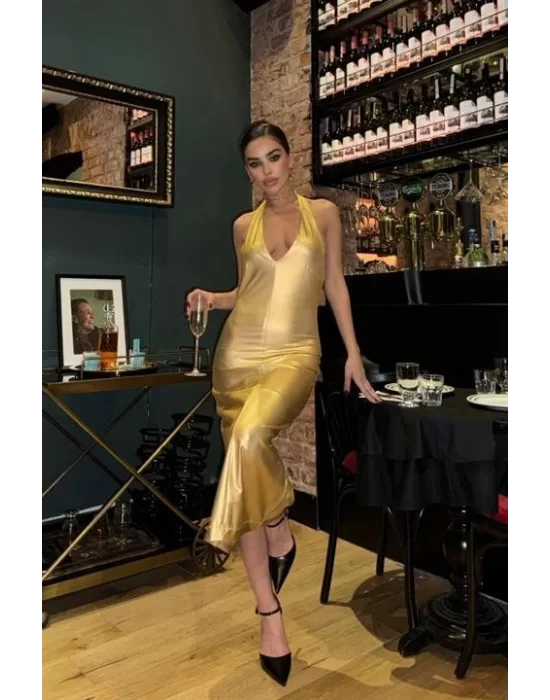 Felicia Sırt Dekolteli Elbise 2583-08