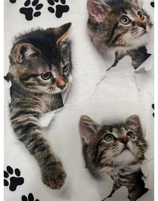 Kadın Kısa Kollu Kedi Ve Pati Baskılı Süprem T-shirt