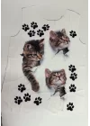 Kadın Kısa Kollu Kedi Ve Pati Baskılı Süprem T-shirt