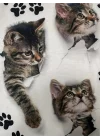 Kadın Kısa Kollu Kedi Ve Pati Baskılı Süprem T-shirt