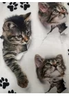 Kadın Kısa Kollu Kedi Ve Pati Baskılı Süprem T-shirt