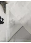 Kadın Kısa Kollu Kedi Ve Pati Baskılı Süprem T-shirt