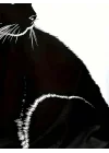 Kadın Uzun Kollu V Yakalı Kedi Baskılı şardonlu Dalgıç Bluz