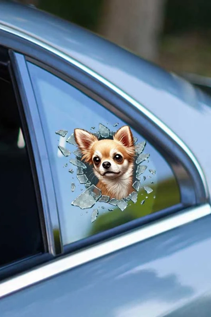 Fulcar Chiuahua Araç Stickerı
