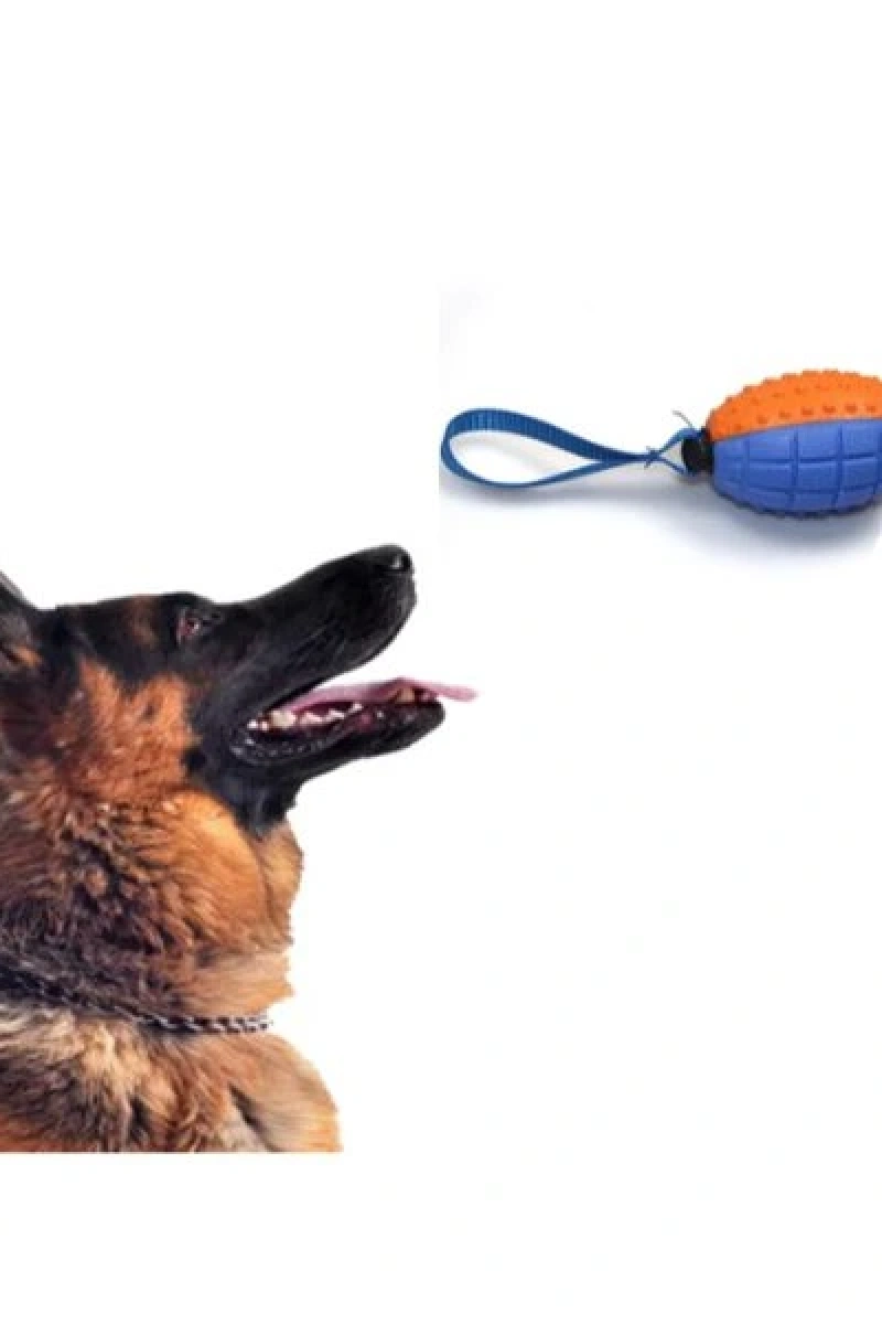 Köpek Diş Kaşıma Oyun Topu