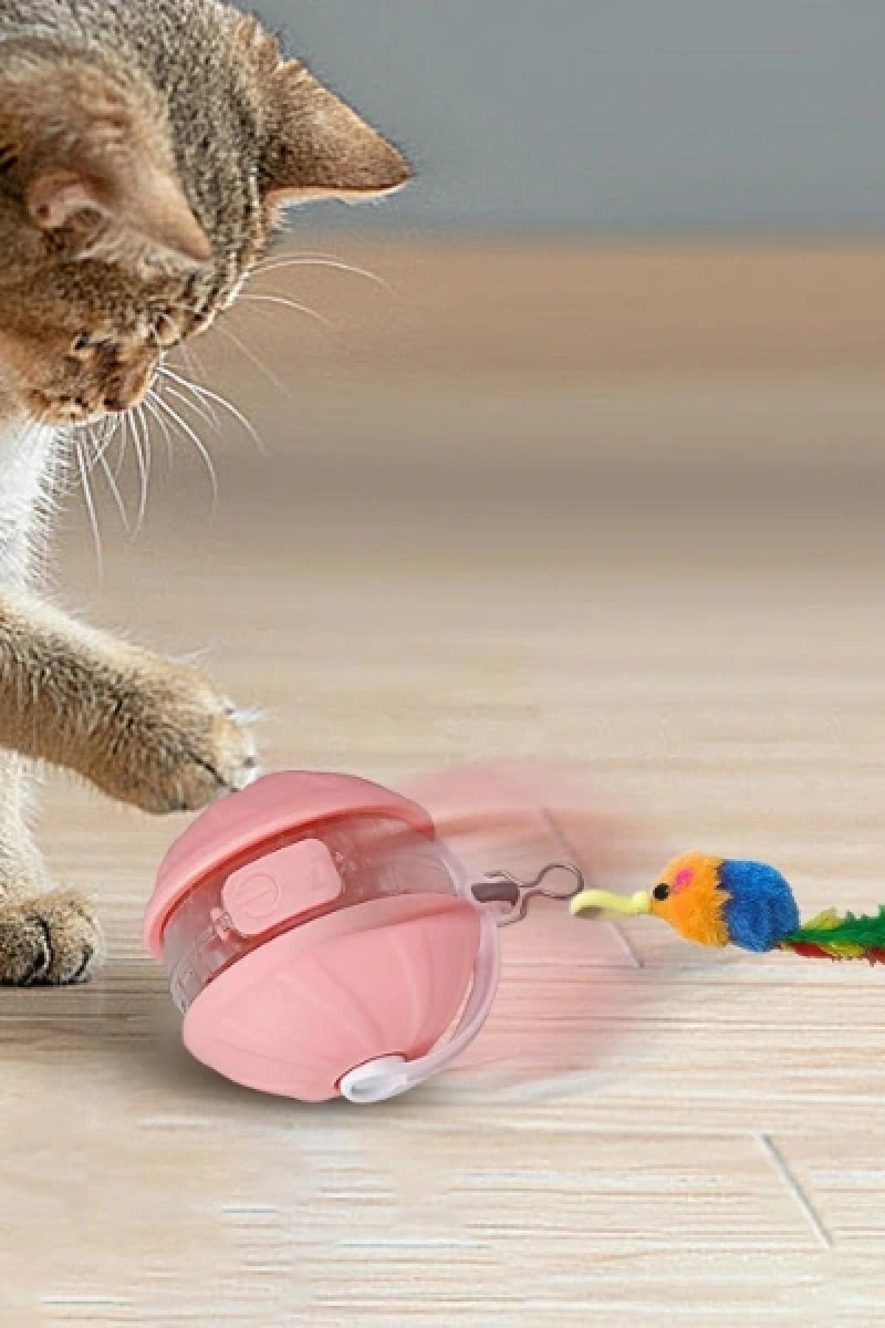 Şarjlı Hareketli Kedi Topu Oyuncak