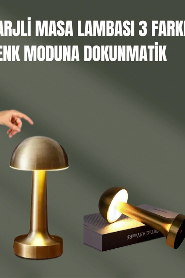 %100 Kademeli Ayarlanabilir Işık – USB Şarjlı Masa Lambası