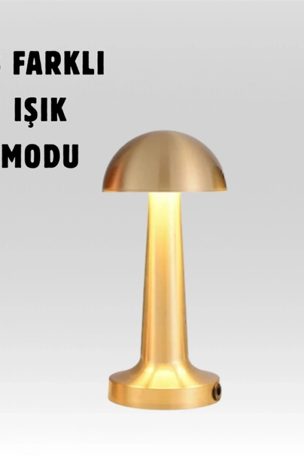 %100 Kademeli Ayarlanabilir Işık – USB Şarjlı Masa Lambası