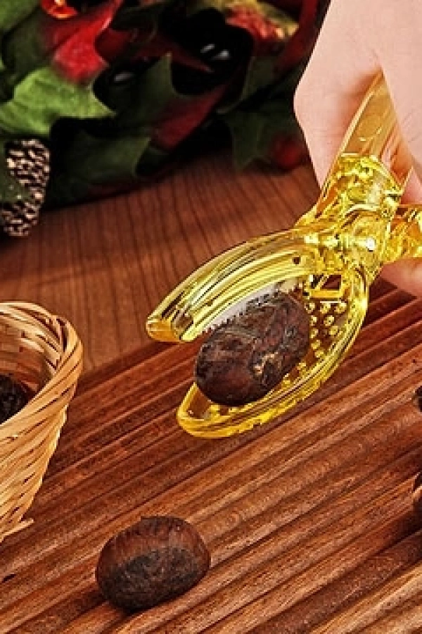 2 ADET - Kestane Kesici